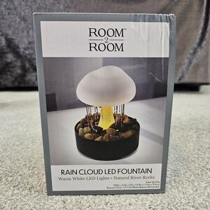 Rain Cloud LED Fountain